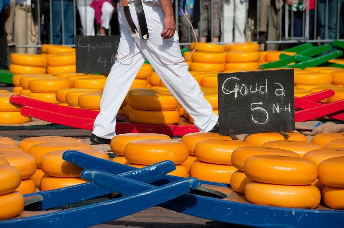 Whole Dutch cheeses at Market Alkmaar