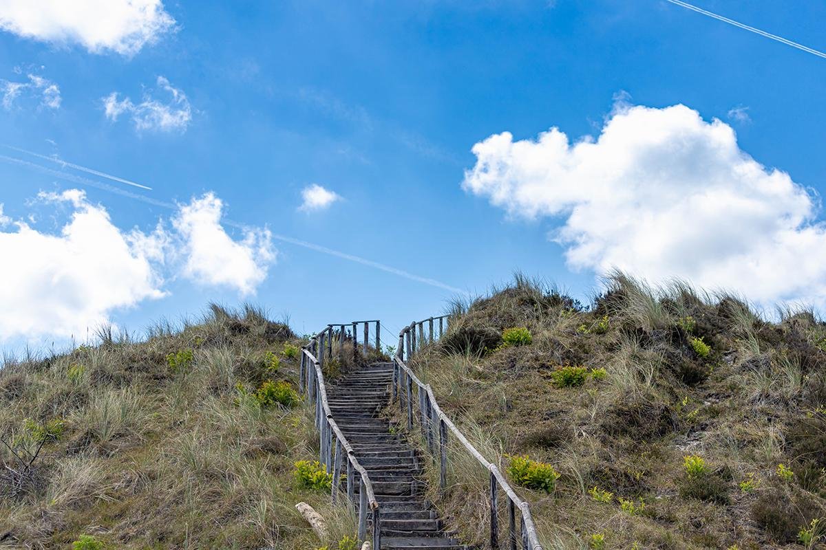 Dunes viewpoint, Schoorl