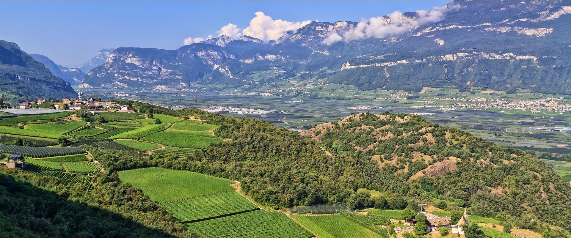 Bolzano fietsen Overview of Adige Valley with vineyard on foreground, Italy