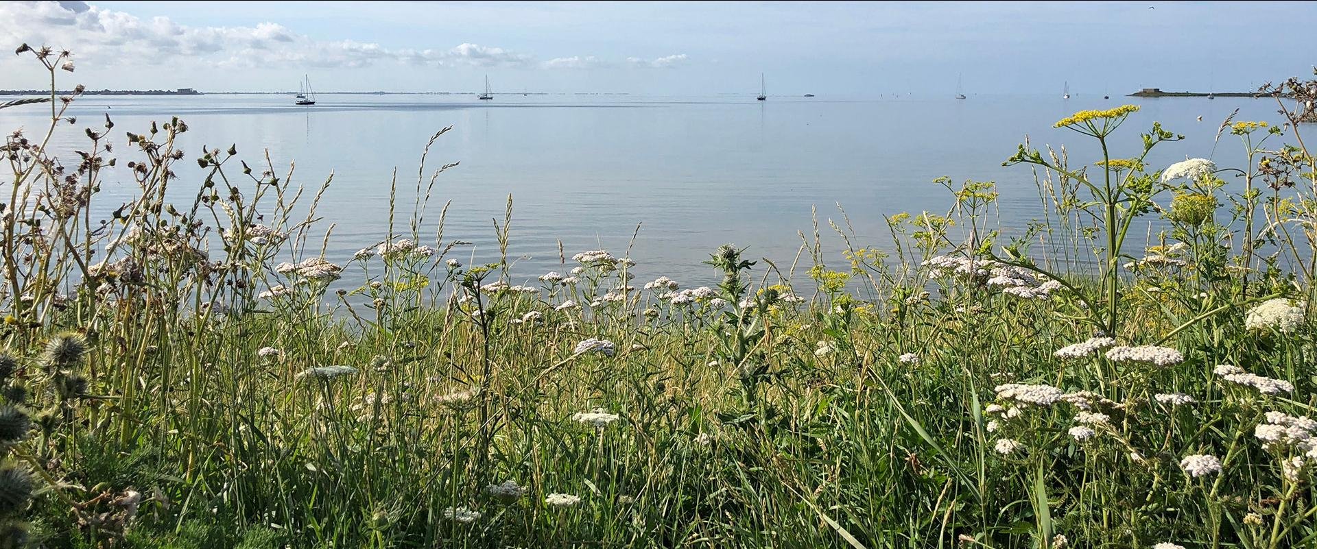 Rond het IJsselemeer